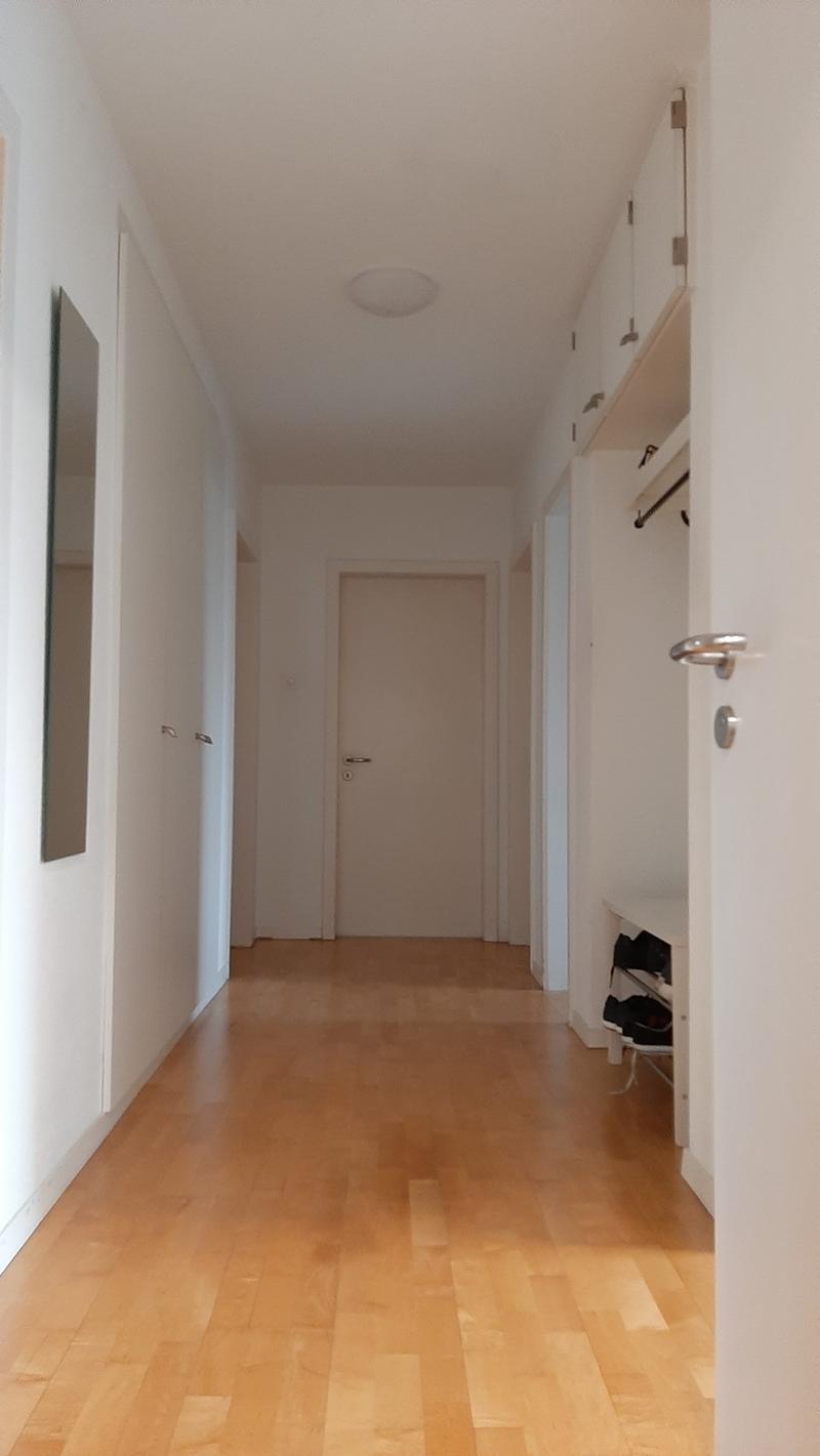 WG-Zimmer in Ebikon (5)