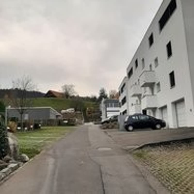 WG-Zimmer in Ebikon (12)