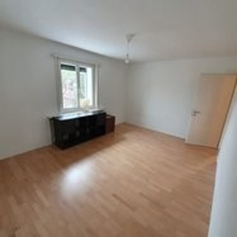 WG-Zimmer in Ebikon (3)