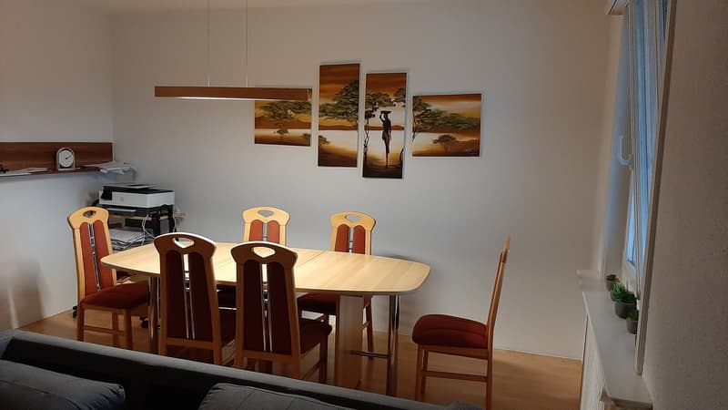 WG-Zimmer in Ebikon (1)