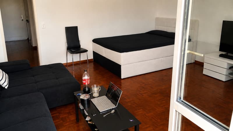 Für Super1-Zimmer-Loft-Wohnung in Zürich-Witikon (2)