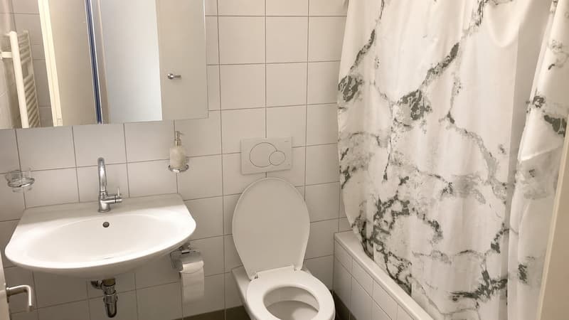 Für Super1-Zimmer-Loft-Wohnung in Zürich-Witikon (3)