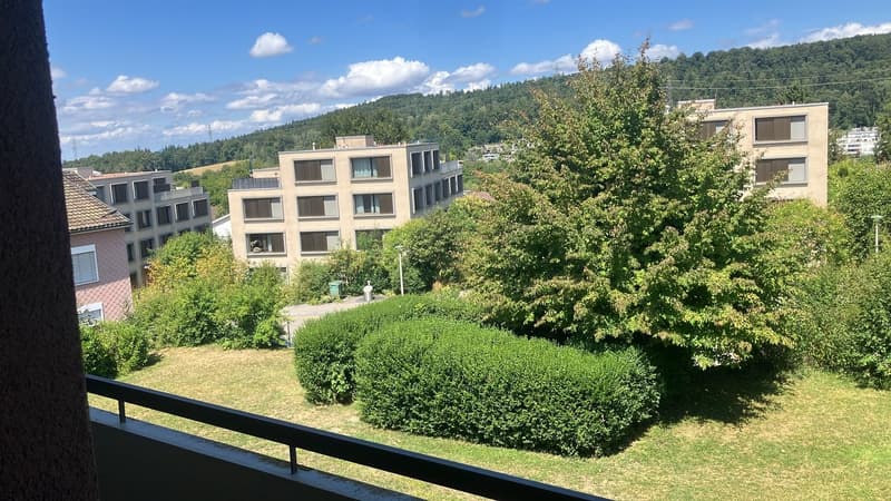 Für Super1-Zimmer-Loft-Wohnung in Zürich-Witikon (7)