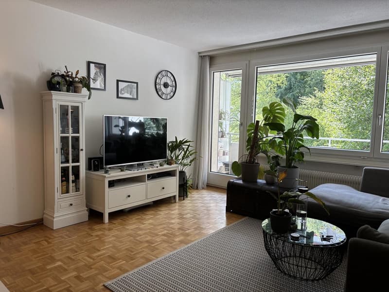 Möblierte Wohnung in Kriens befristet zu vermieten (2)