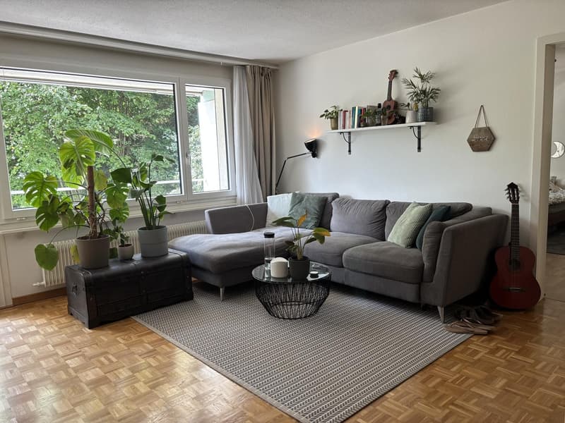 Möblierte Wohnung in Kriens befristet zu vermieten (1)