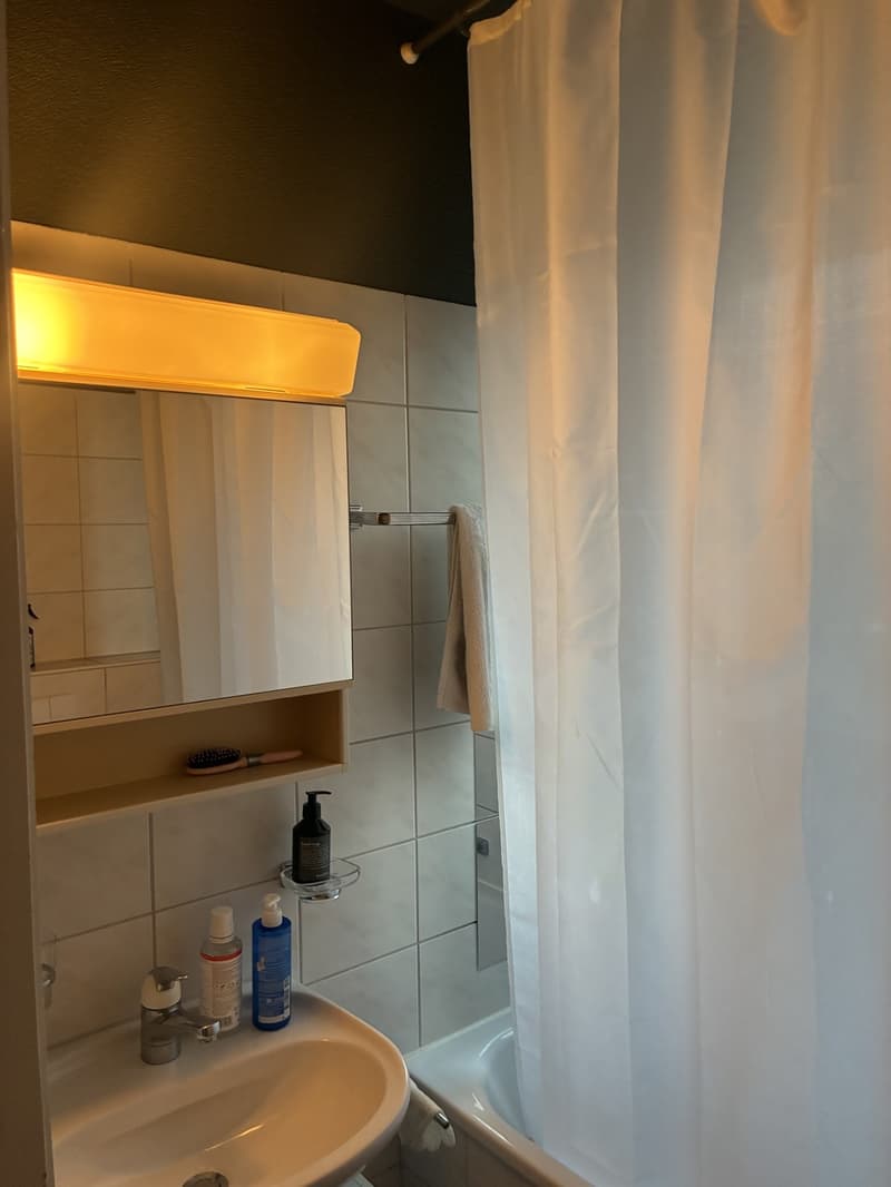 Sublet in Seefeld (8)