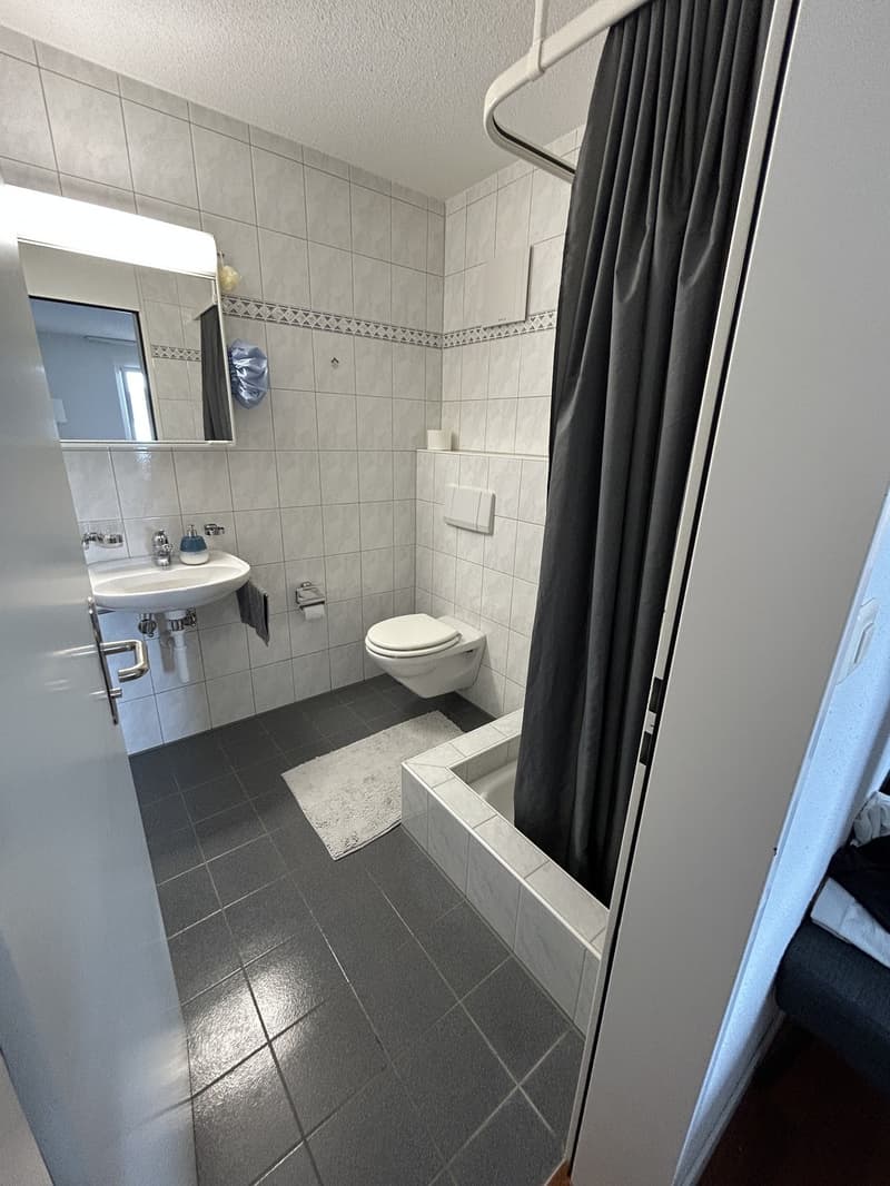 4.5-Zimmer-Wohnung mit Seeblick, grosser Dachterrasse & privatem Seezugang (3)