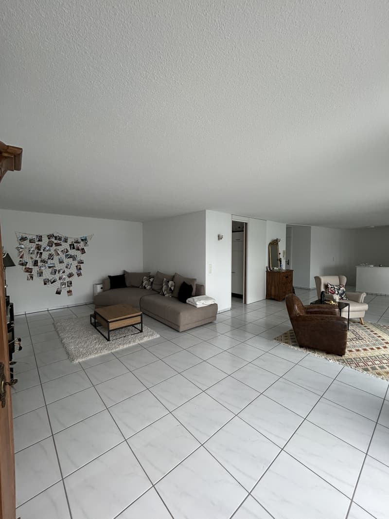 4.5-Zimmer-Wohnung mit Seeblick, grosser Dachterrasse & privatem Seezugang (7)