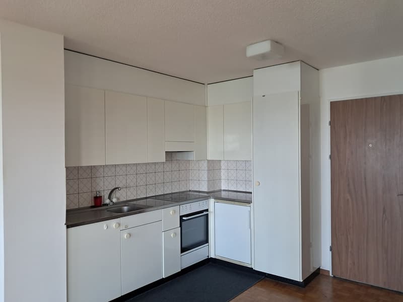 Appartement 1.5 pièces avec cuisine équipée (4)