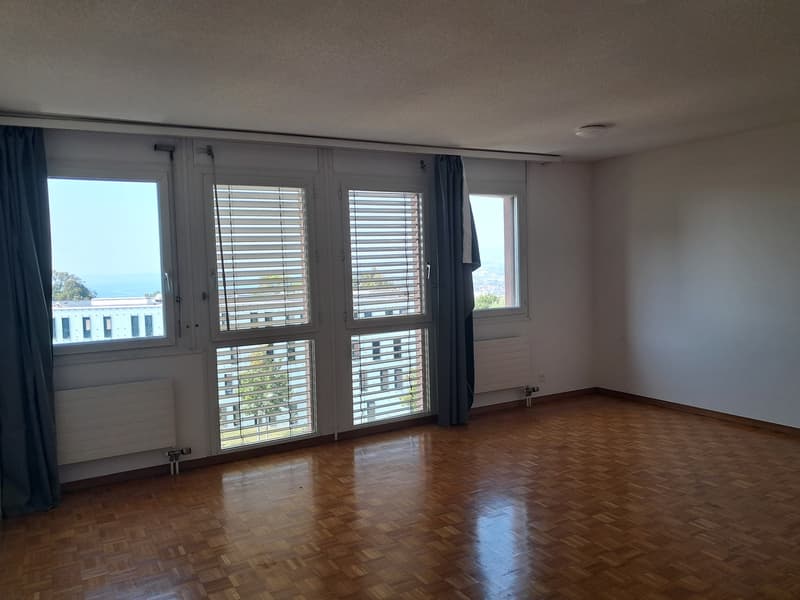 Appartement 1.5 pièces avec cuisine équipée (2)