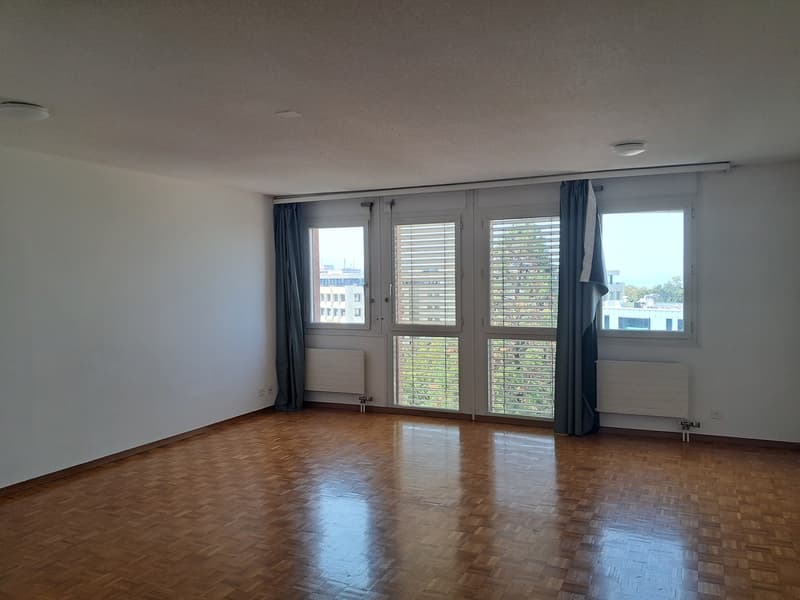 Appartement 1.5 pièces avec cuisine équipée (1)