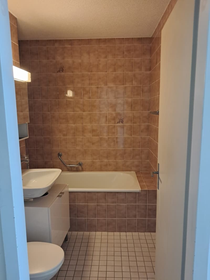 Appartement 1.5 pièces avec cuisine équipée (3)