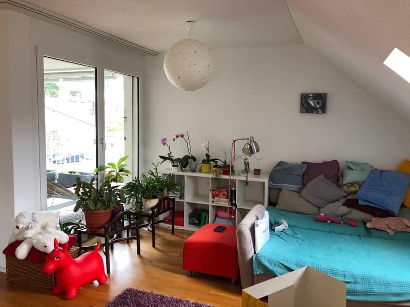 Helles und geräumige WG Zimmer in Stallikon ab 15 September (10)