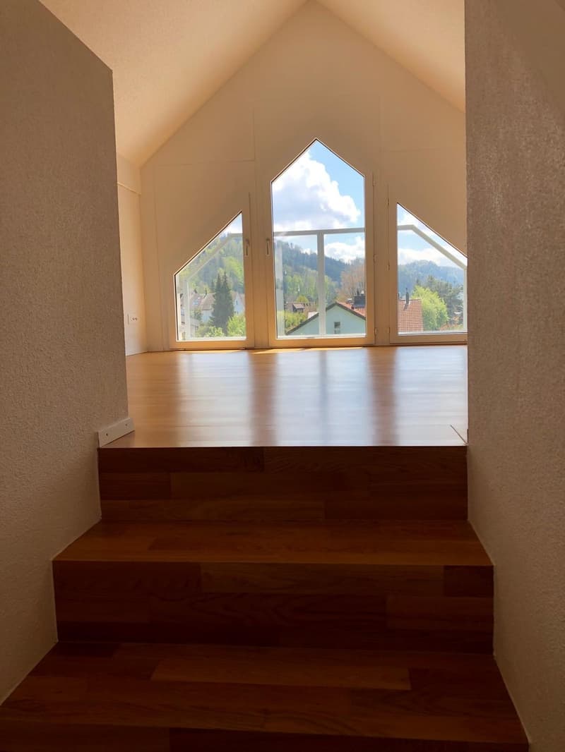 Helles und geräumige WG Zimmer in Stallikon ab 15 September (13)