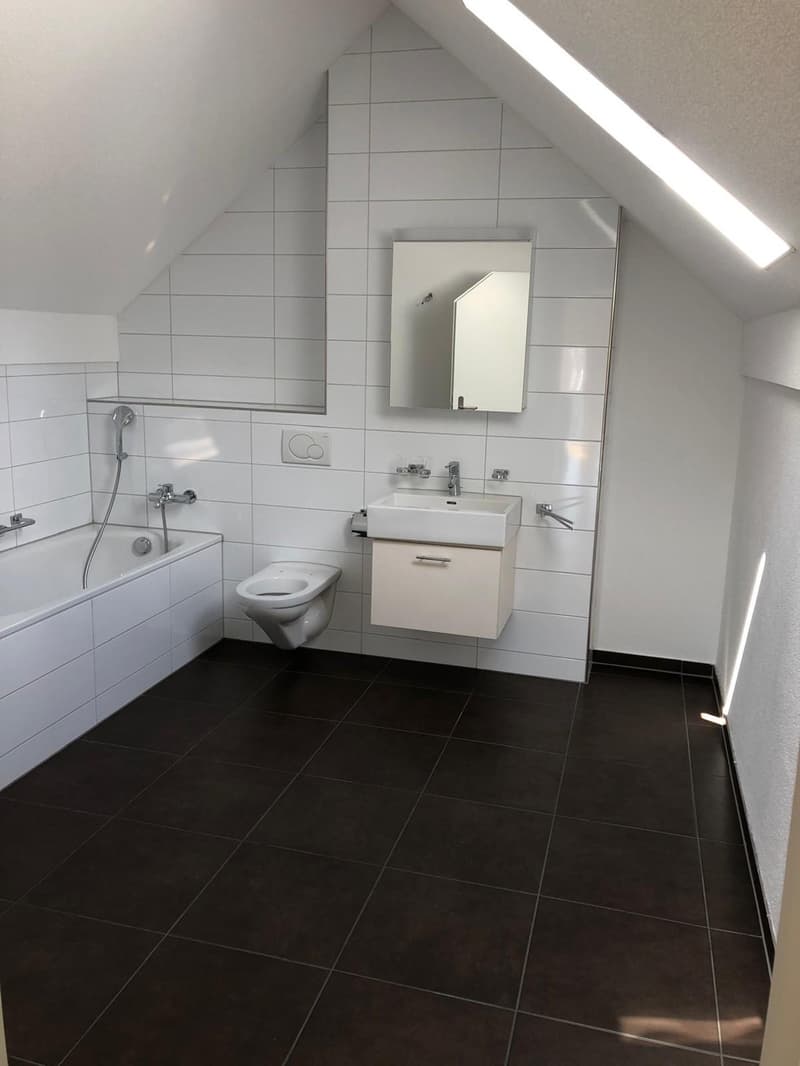 Helles und geräumige WG Zimmer in Stallikon ab 15 September (7)