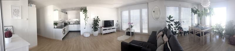 Furnished 2.5 room apartment for sublet for 4 months (FREE use of furniture, appliances and fiber Wi-Fi) (2)