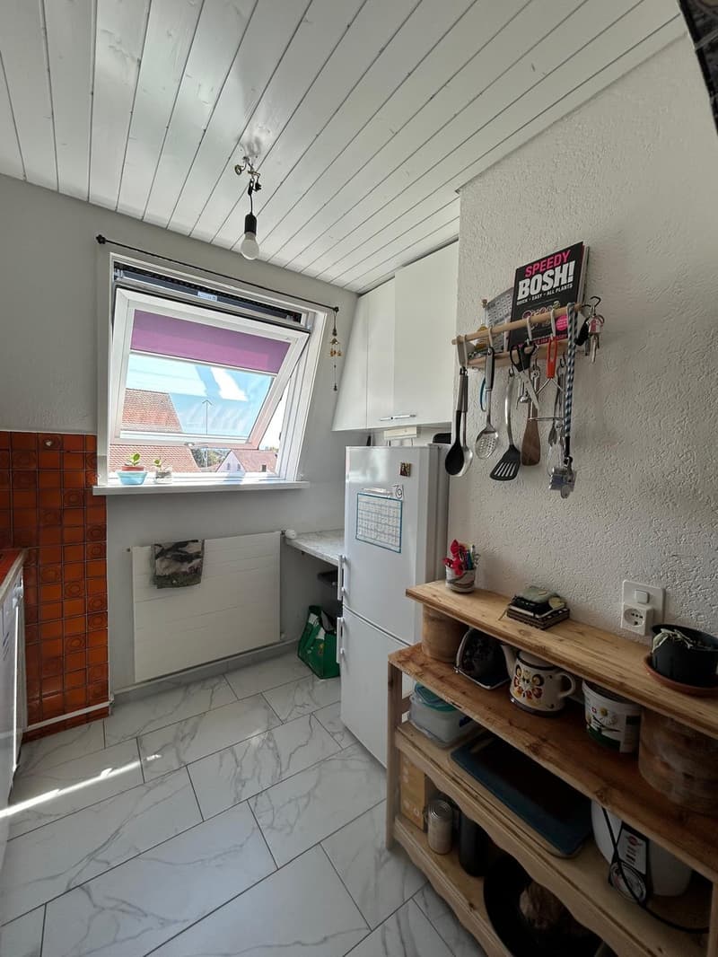 Spacious 2.5-Room Apartment in Wallisellen with Mountain Views (8)