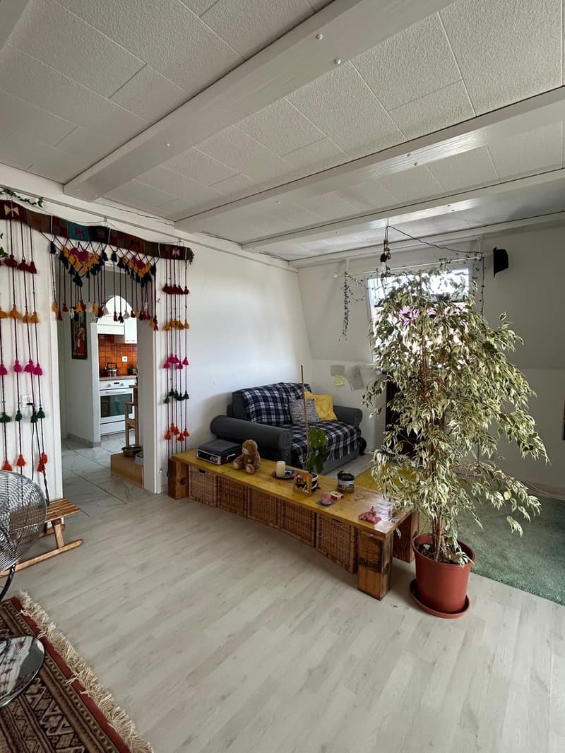 Spacious 2.5-Room Apartment in Wallisellen with Mountain Views (2)