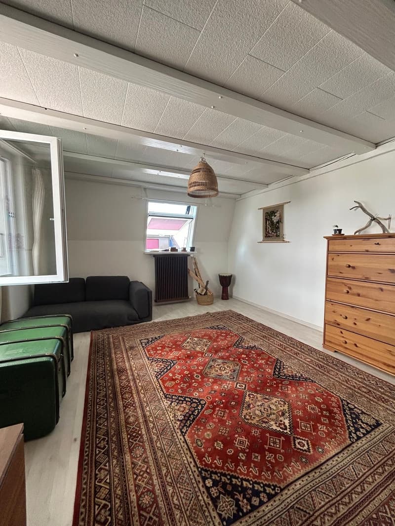 Spacious 2.5-Room Apartment in Wallisellen with Mountain Views (3)