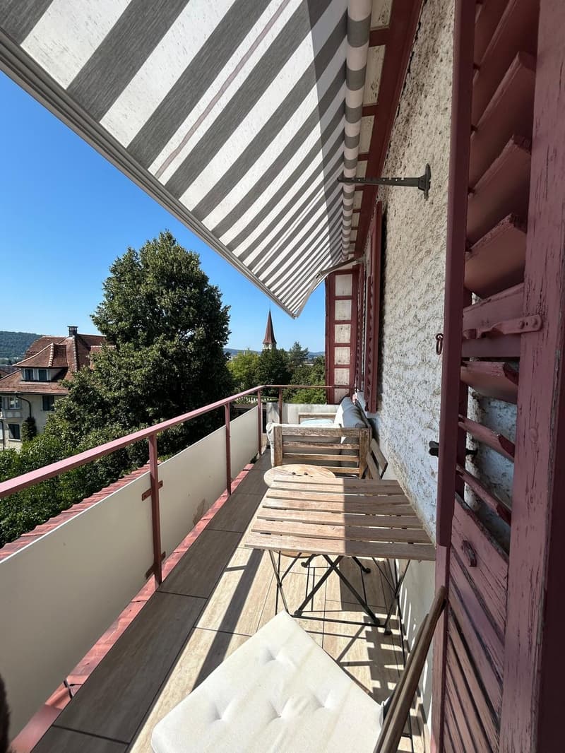 Spacious 2.5-Room Apartment in Wallisellen with Mountain Views (5)