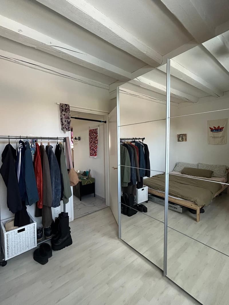 Spacious 2.5-Room Apartment in Wallisellen with Mountain Views (13)