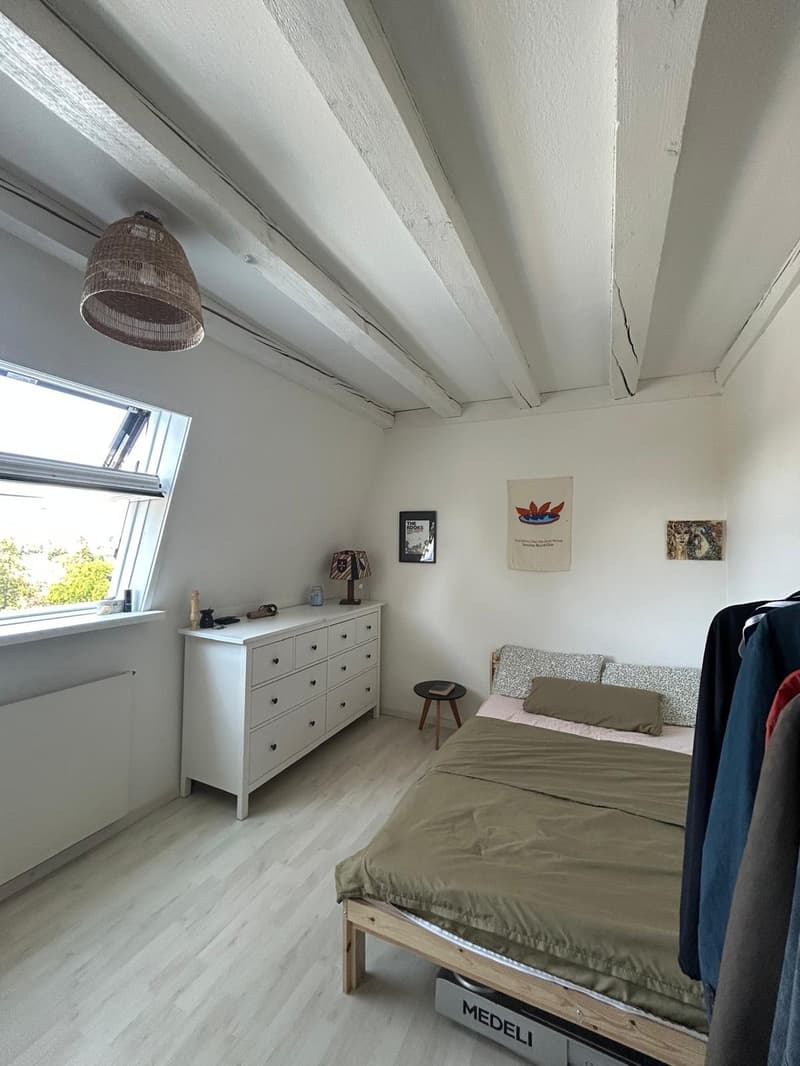 Spacious 2.5-Room Apartment in Wallisellen with Mountain Views (12)