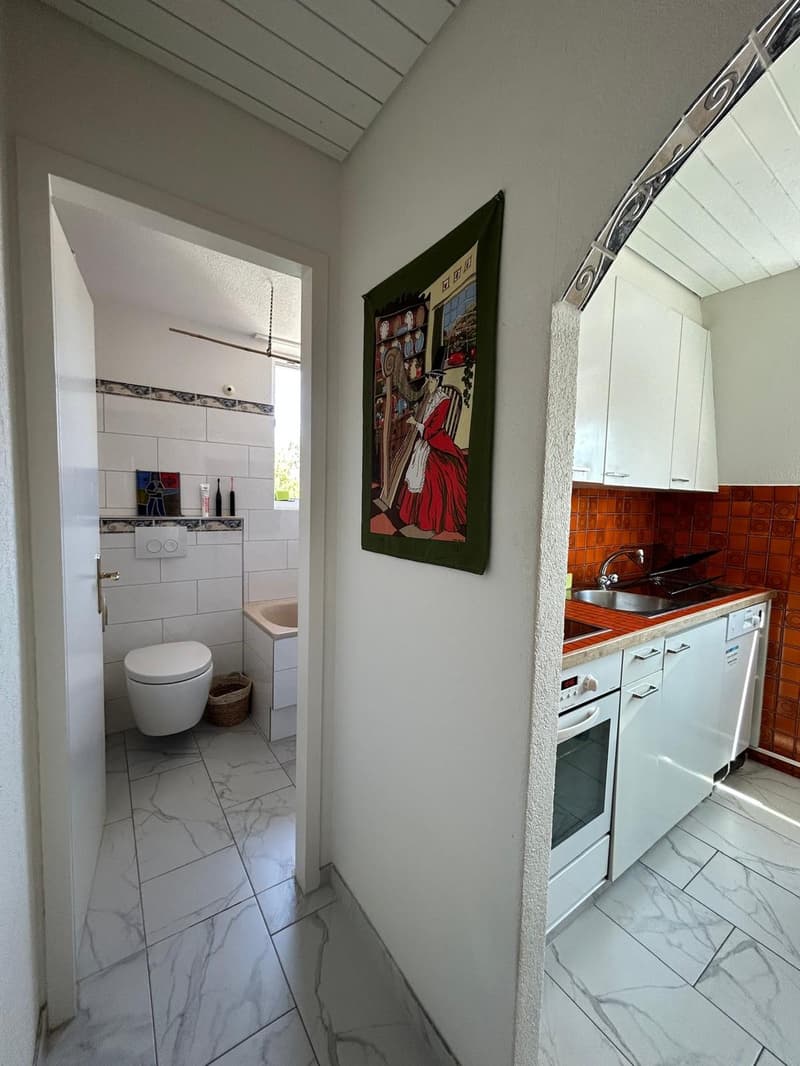 Spacious 2.5-Room Apartment in Wallisellen with Mountain Views (9)