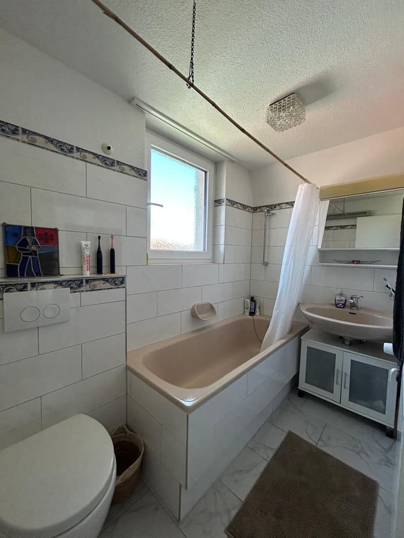 Spacious 2.5-Room Apartment in Wallisellen with Mountain Views (10)