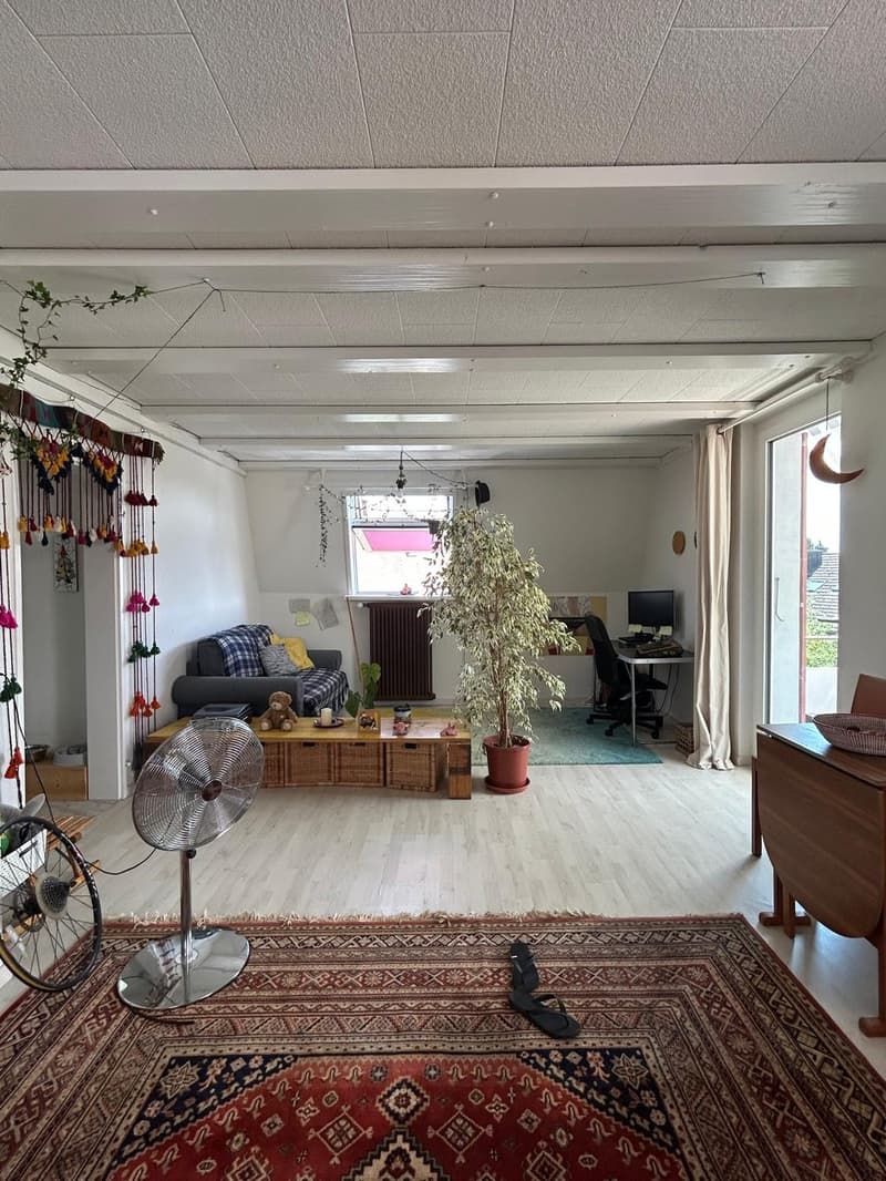 Spacious 2.5-Room Apartment in Wallisellen with Mountain Views (1)