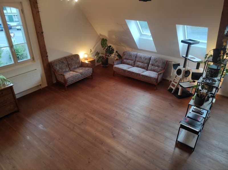 Zimmer in frisch renovierter 4er-WG (5)