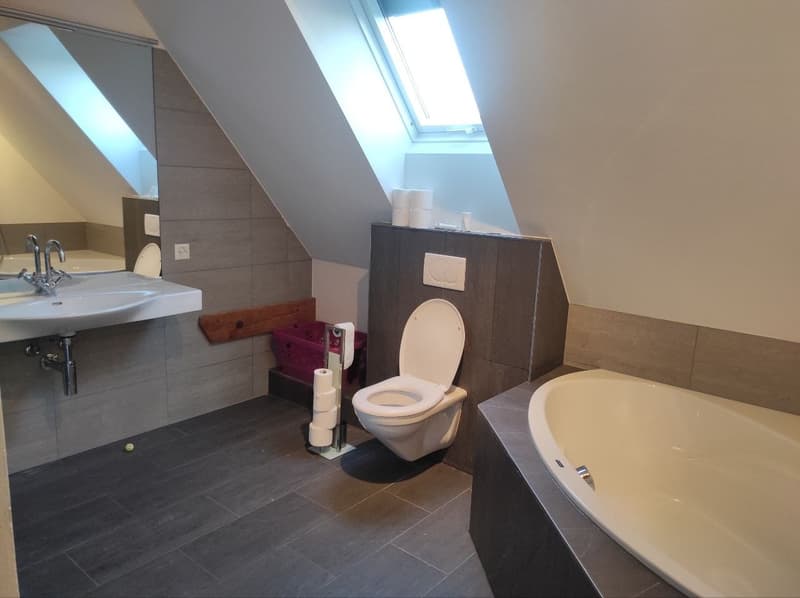 Zimmer in frisch renovierter 4er-WG (3)