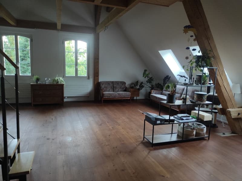 Zimmer in frisch renovierter 4er-WG (6)