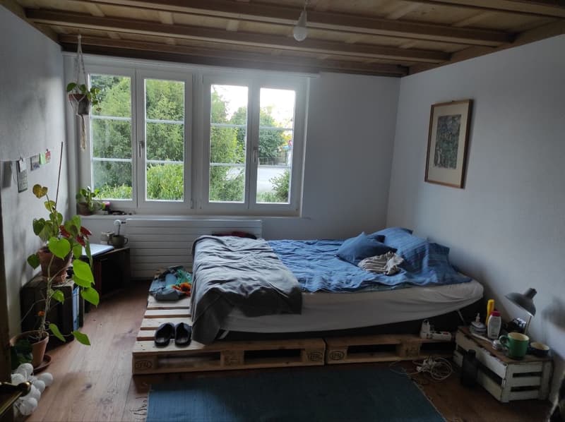 Zimmer in frisch renovierter 4er-WG (1)