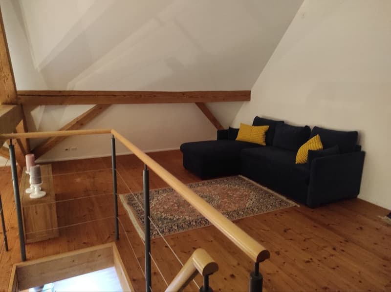 Zimmer in frisch renovierter 4er-WG (7)