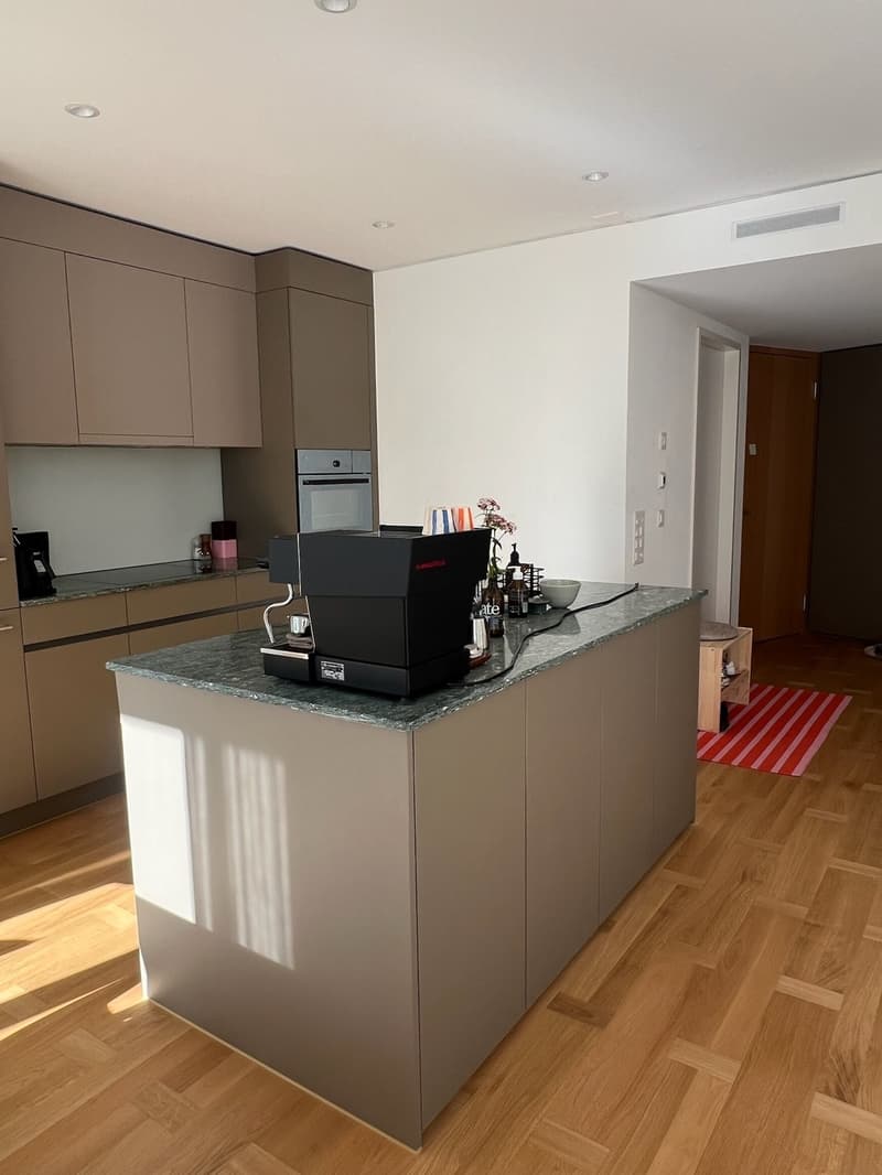 3.5-Zimmer-Wohnung in Zürich Albisrieden zur Untermiete (1)