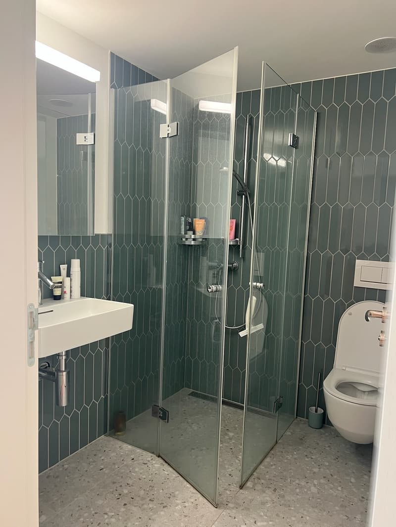 3.5-Zimmer-Wohnung in Zürich Albisrieden zur Untermiete (6)