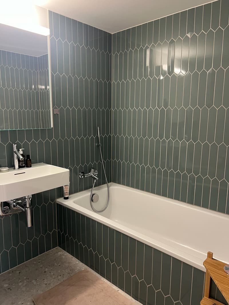 3.5-Zimmer-Wohnung in Zürich Albisrieden zur Untermiete (5)