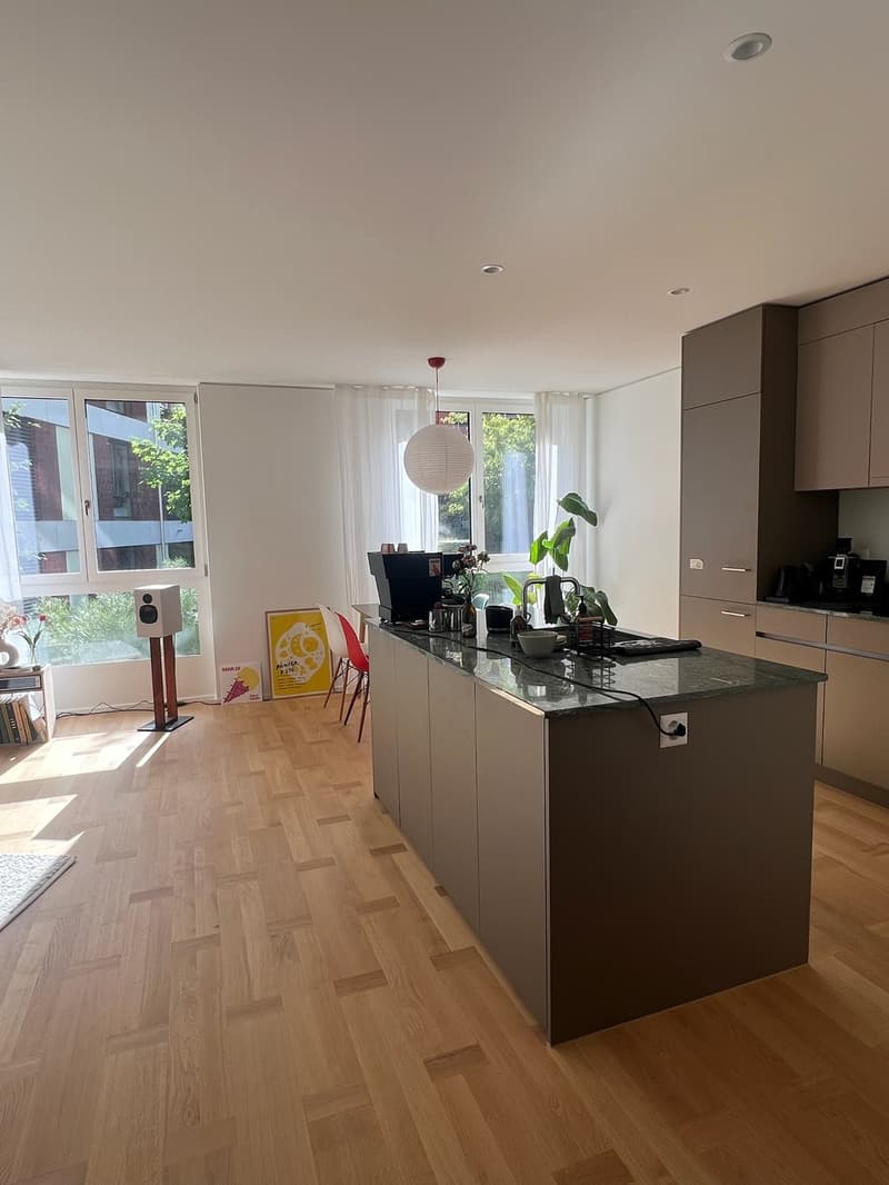 3.5-Zimmer-Wohnung in Zürich Albisrieden zur Untermiete (2)
