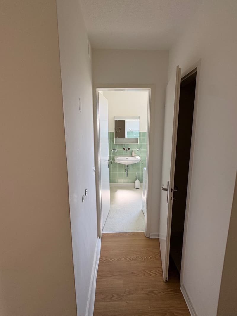 WG-Zimmer in 4.5-Zimmer-Wohnung in der Enge Zürich. (3)