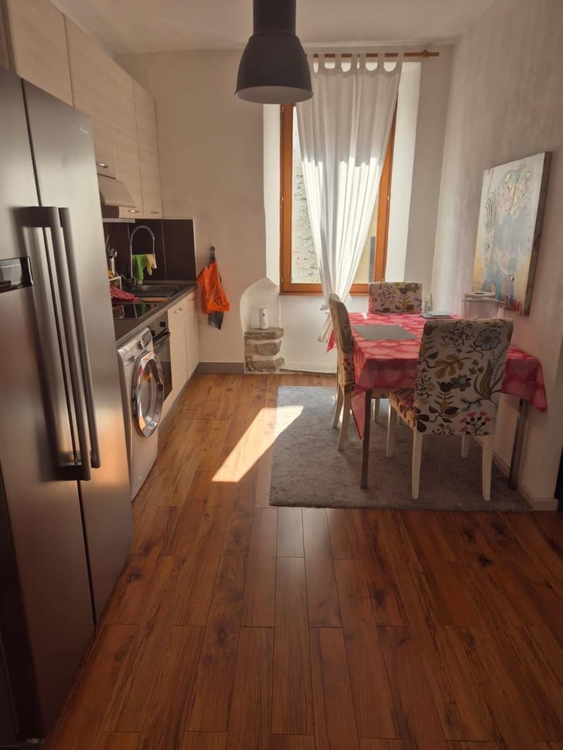 Ampio monolocale arredato a Massagno (4)