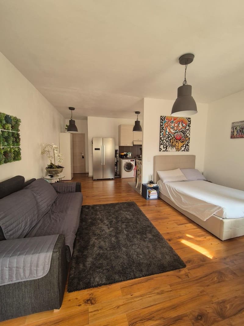 Ampio monolocale arredato a Massagno (2)