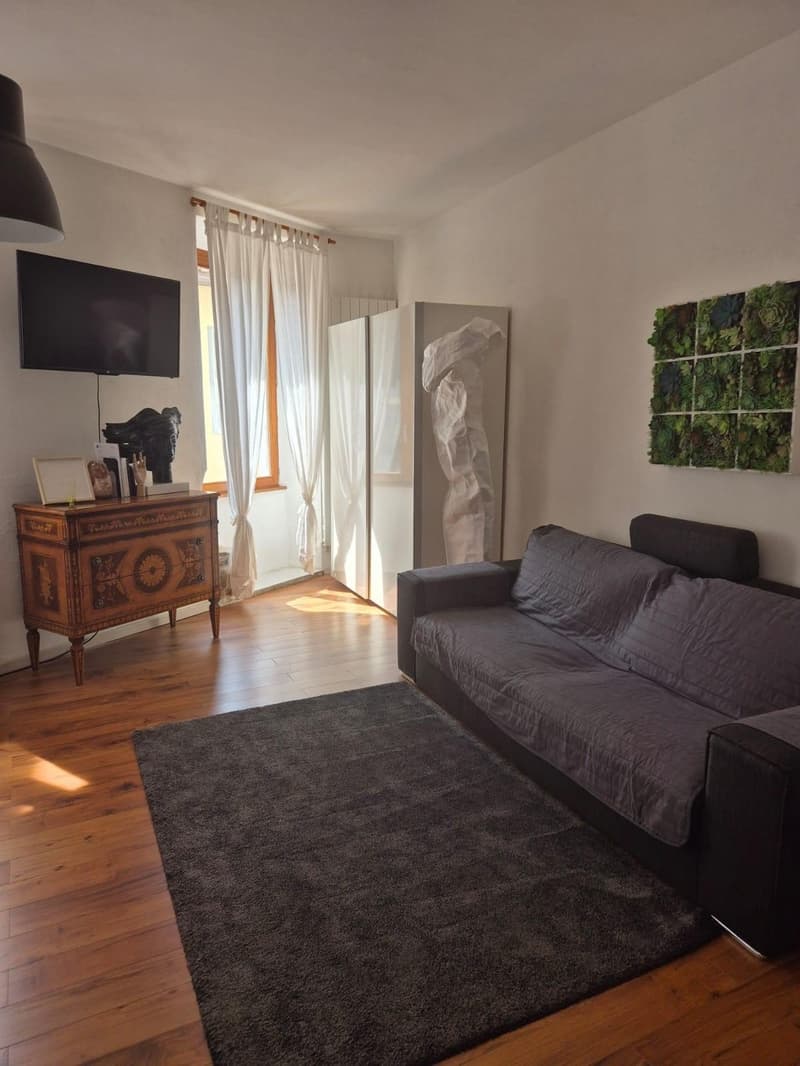 Ampio monolocale arredato a Massagno (3)