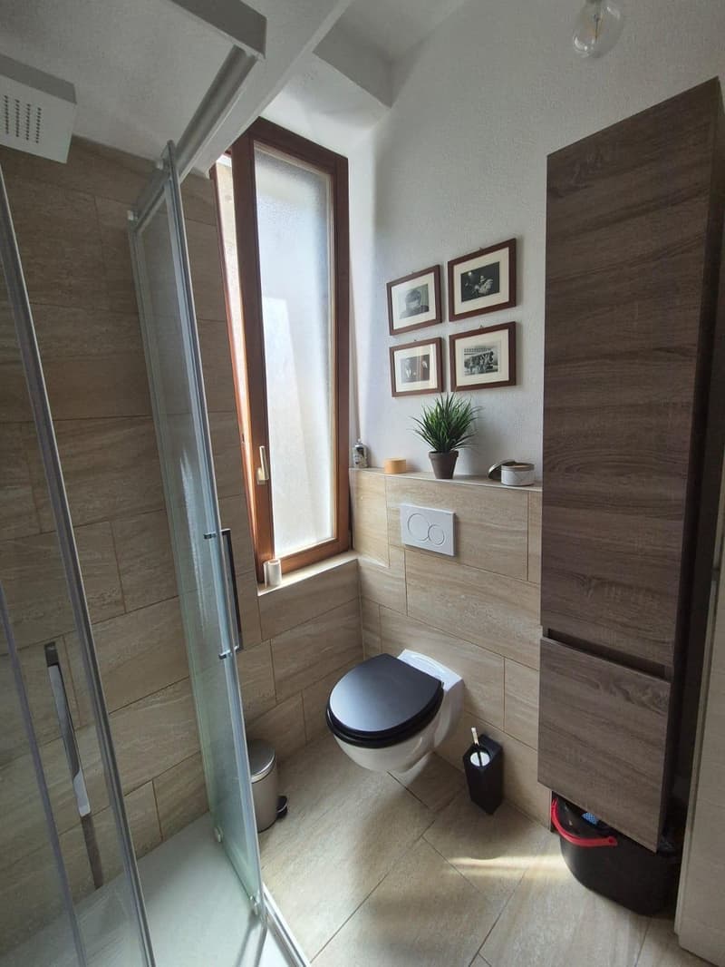 Ampio monolocale arredato a Massagno (7)