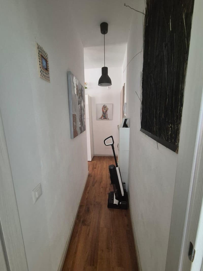 Ampio monolocale arredato a Massagno (6)