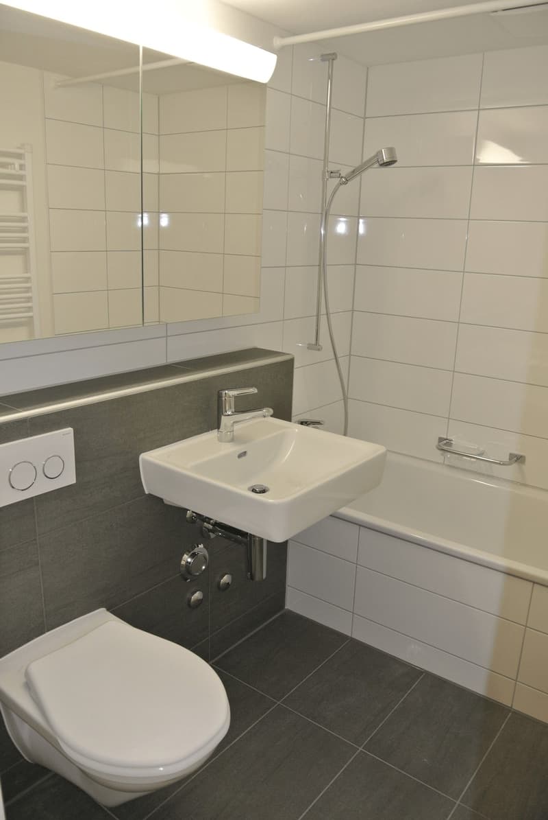 WG-Zimmer frei  gesellige(r) MitbewohnerIn gesucht (3)