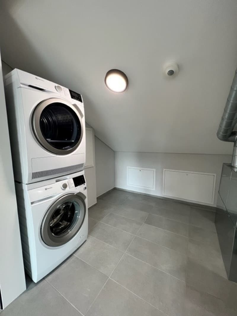 Loftwohnung 180 m² in Aarburg auch WG geeignet (5)