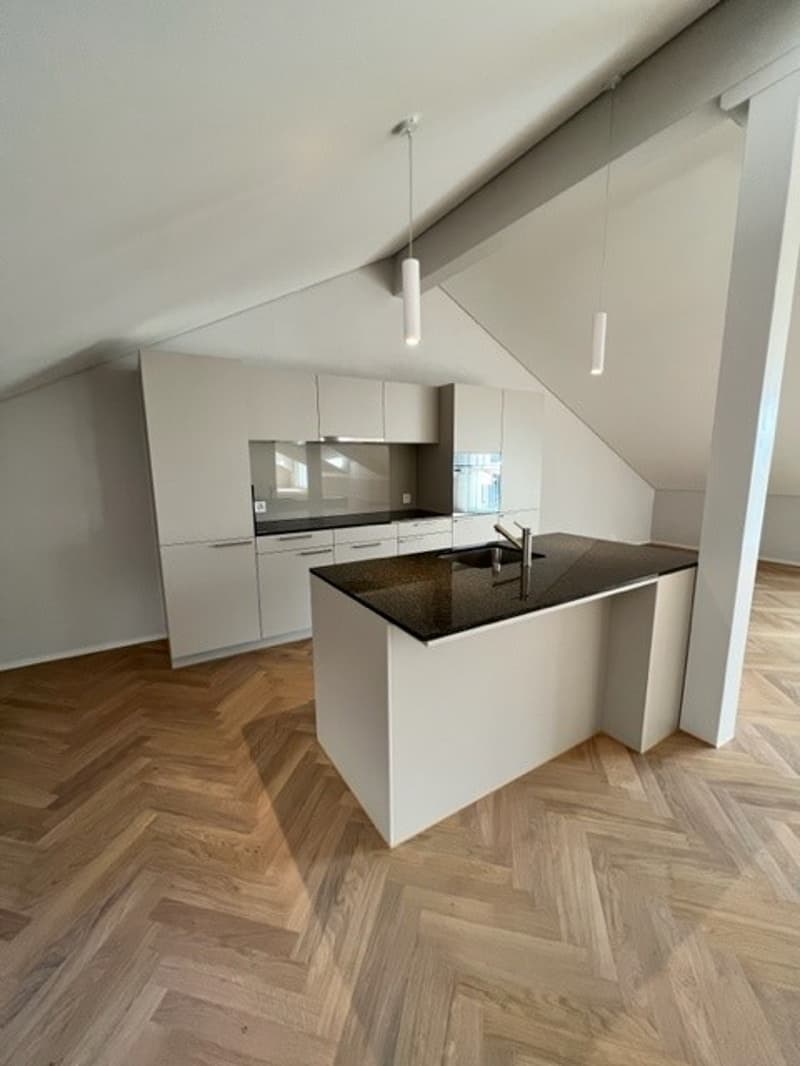 Loftwohnung 180 m² in Aarburg auch WG geeignet (3)