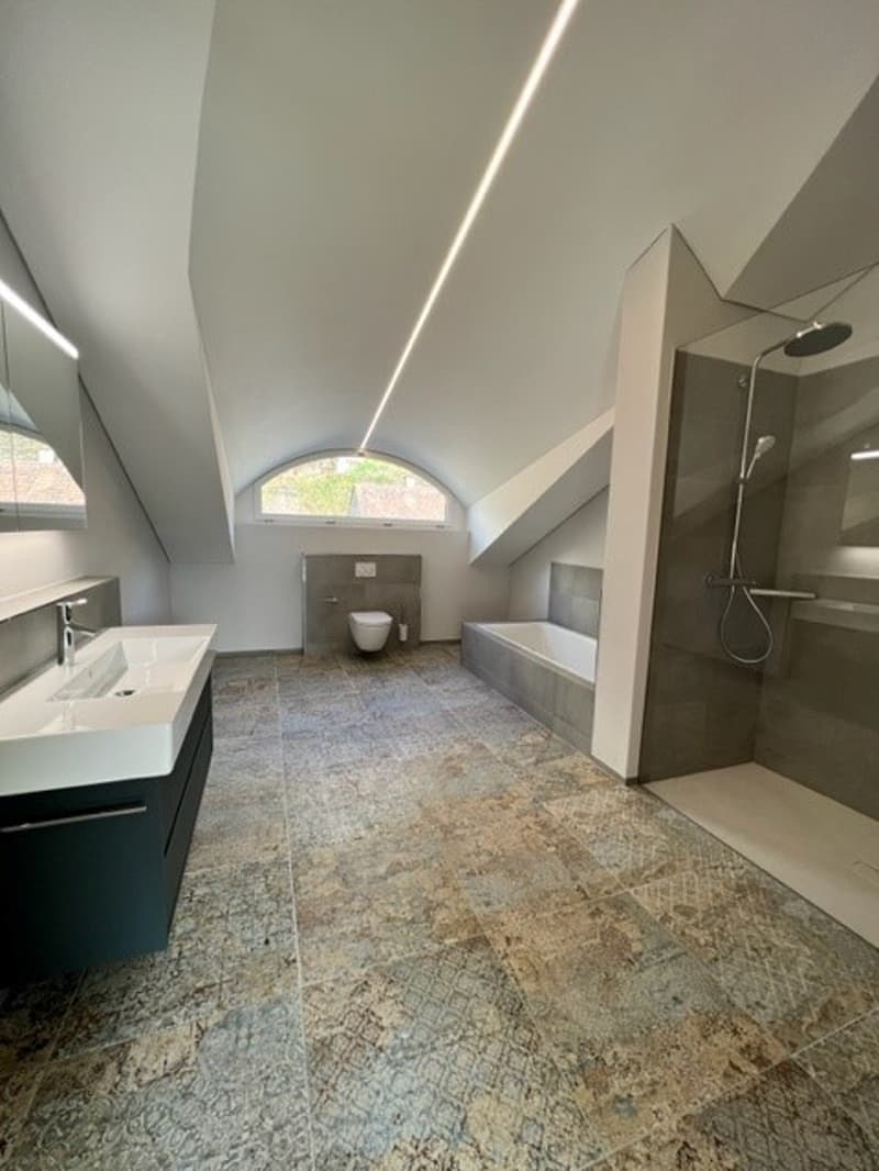 Loftwohnung 180 m² in Aarburg auch WG geeignet (1)