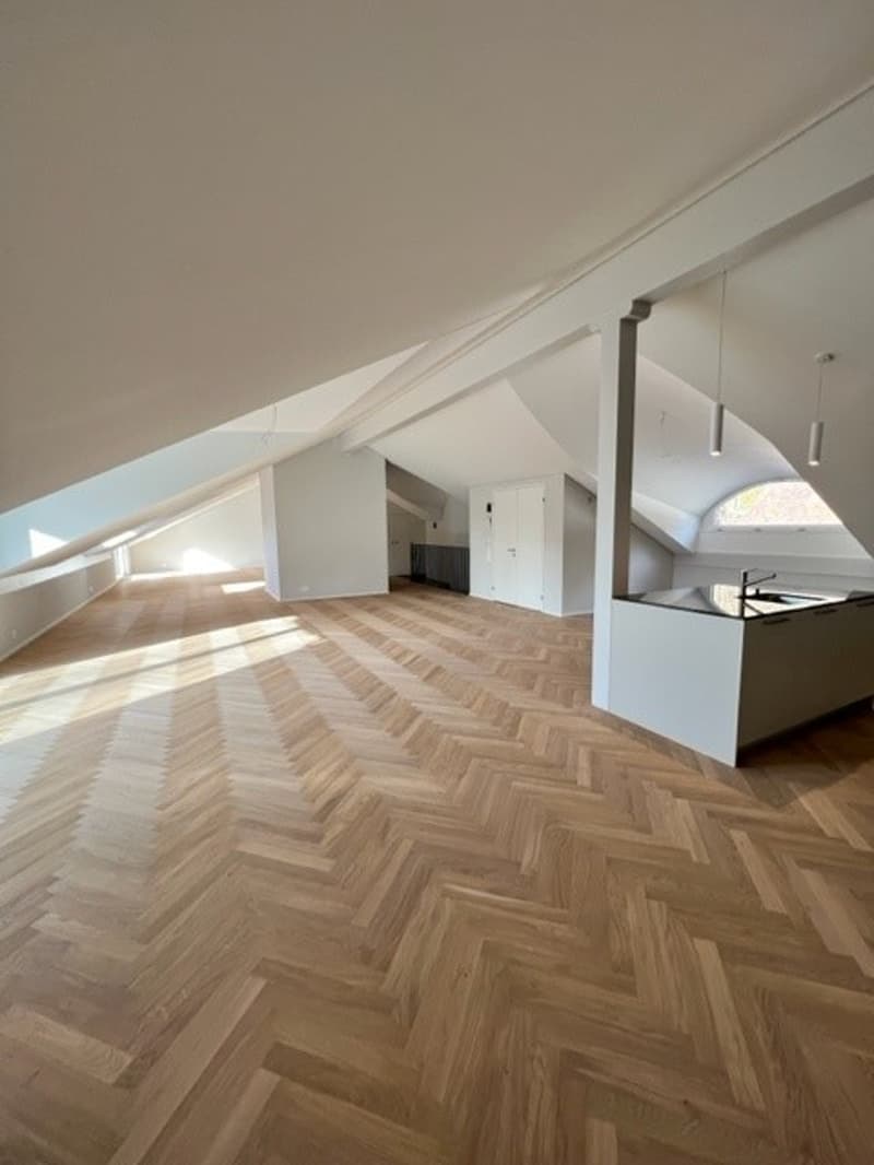 Loftwohnung 180 m² in Aarburg auch WG geeignet (7)