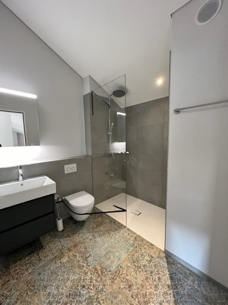 Loftwohnung 180 m² in Aarburg auch WG geeignet (8)